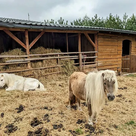 Hacienda Natura Agroturystyka Warlubie Exterior photo