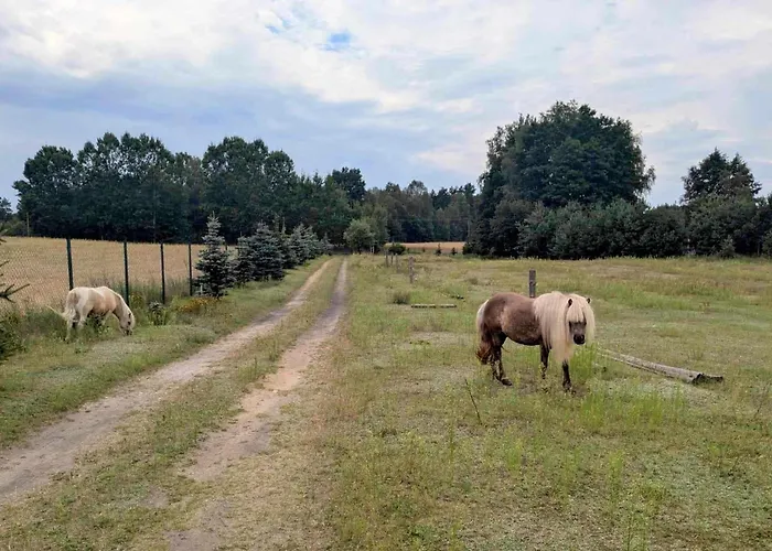 Hacienda Natura Agroturystyka